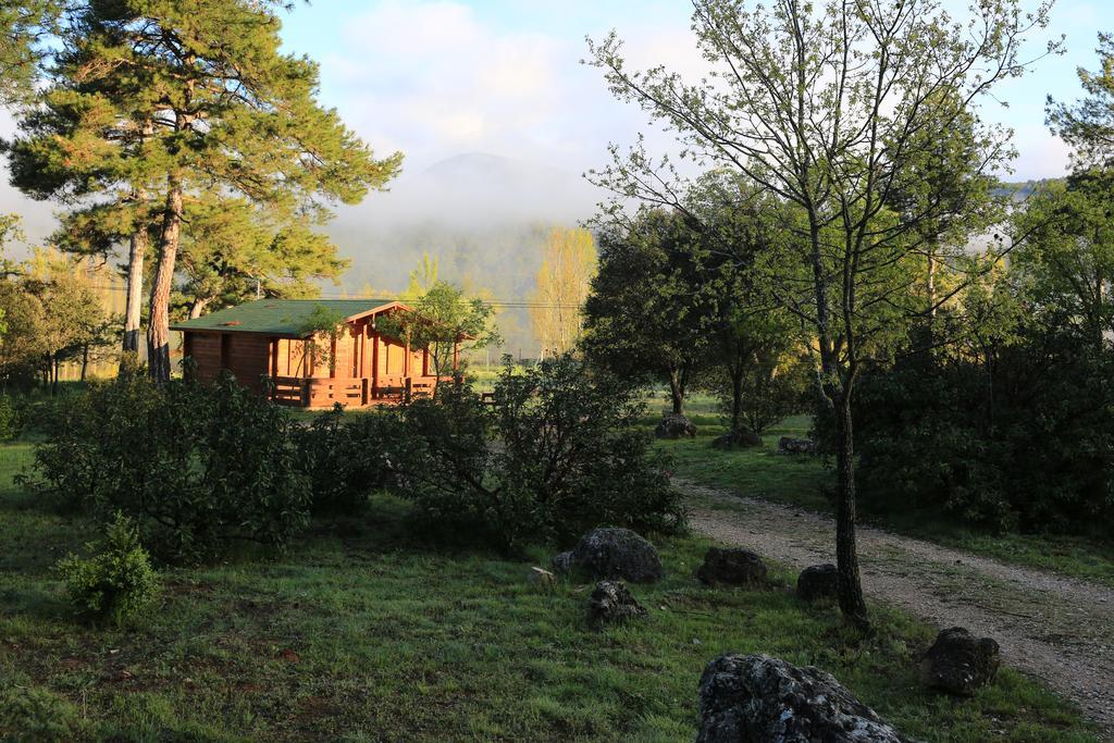 El Llano de los Conejos Cañamares Exterior foto