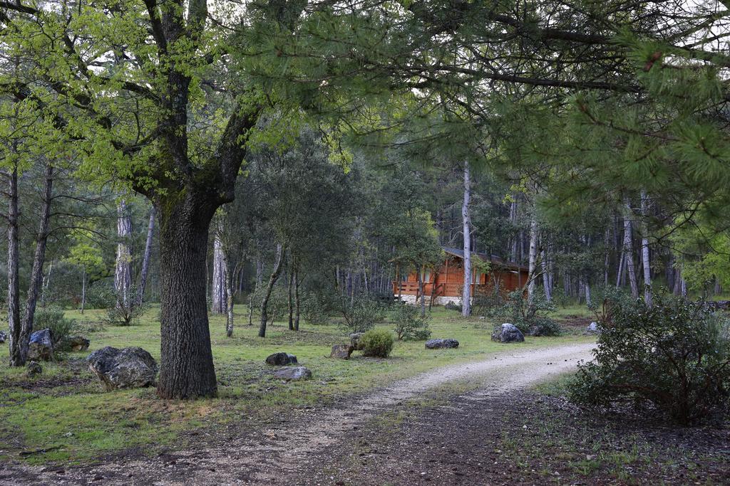 El Llano de los Conejos Cañamares Exterior foto