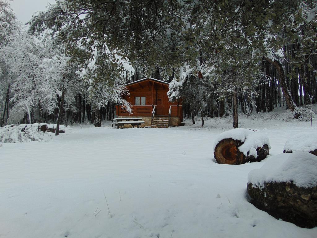 El Llano de los Conejos Cañamares Exterior foto