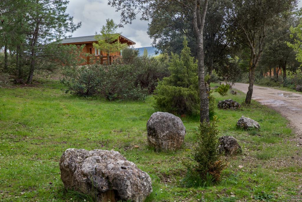 El Llano de los Conejos Cañamares Exterior foto