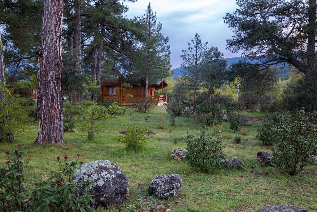 El Llano de los Conejos Cañamares Exterior foto