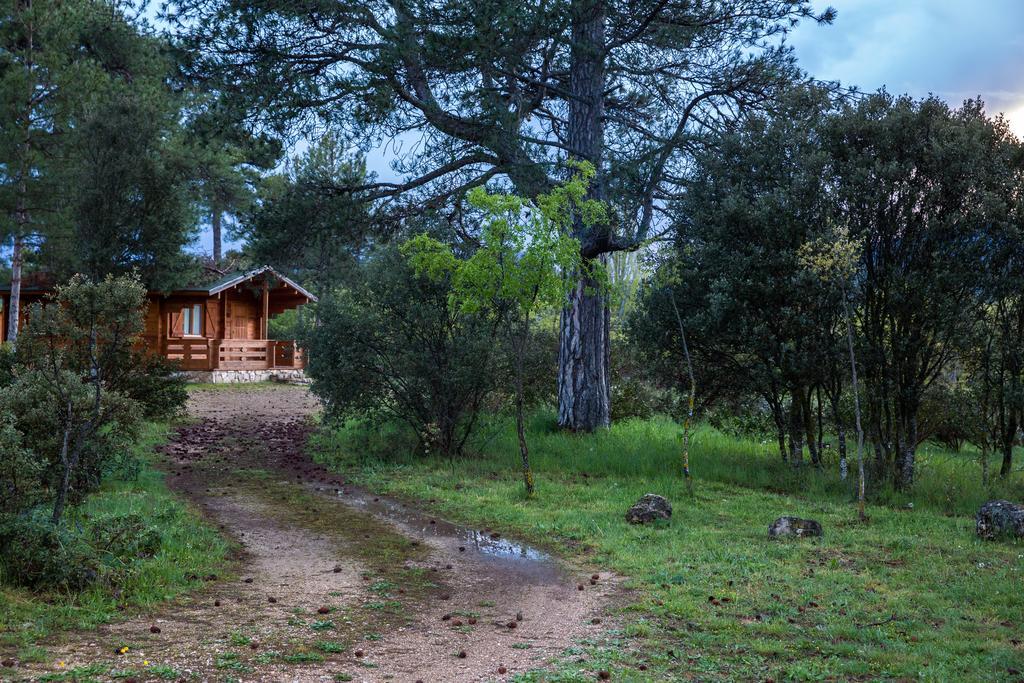 El Llano de los Conejos Cañamares Exterior foto