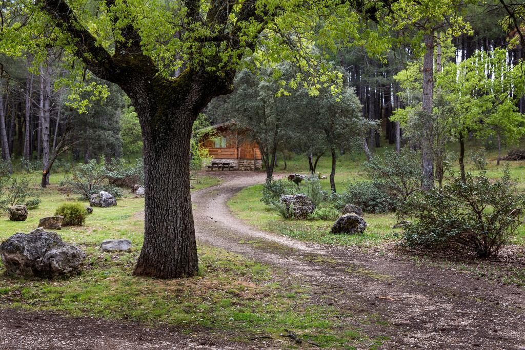 El Llano de los Conejos Cañamares Exterior foto