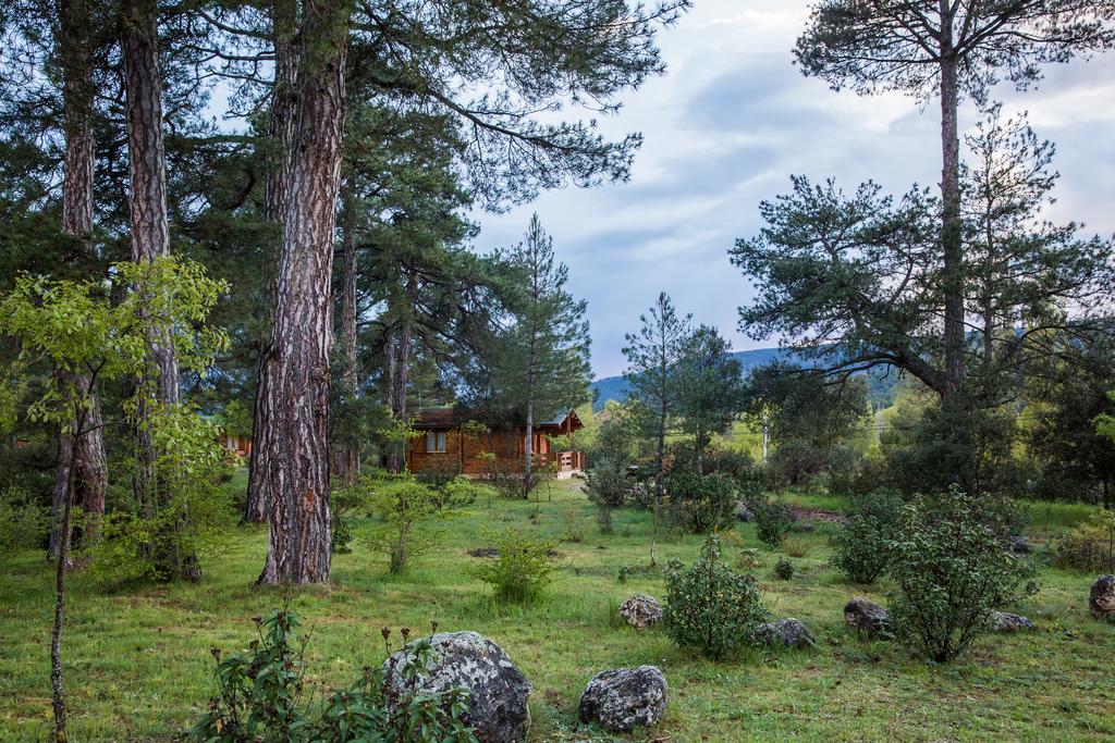 El Llano de los Conejos Cañamares Exterior foto