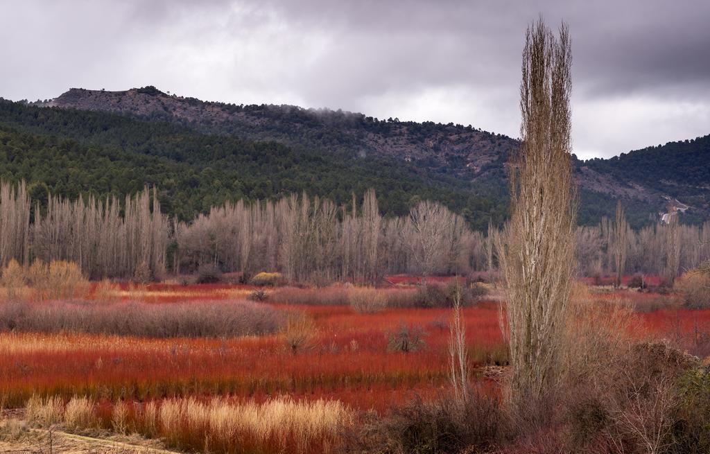 El Llano de los Conejos Cañamares Exterior foto