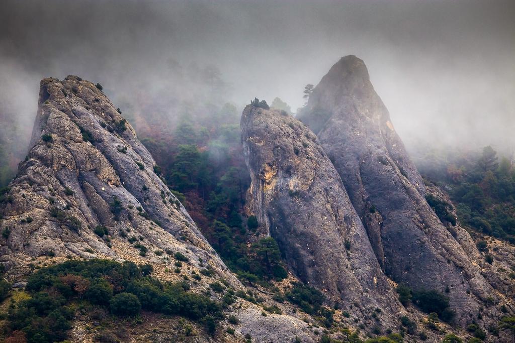 El Llano de los Conejos Cañamares Exterior foto